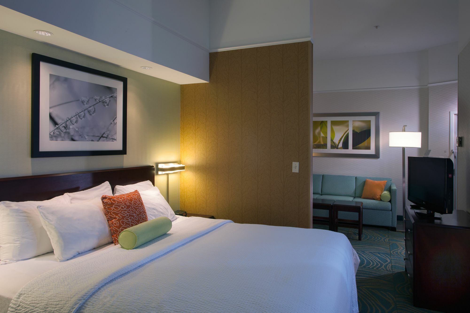 Springhill Suites Boise West/Eagle Exterior photo